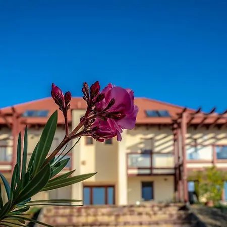 Apartment Aranymandula