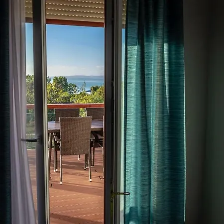 Aranymandula * 鲍洛托瑙考利